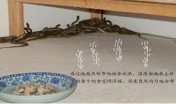 設施農業、養殖業
