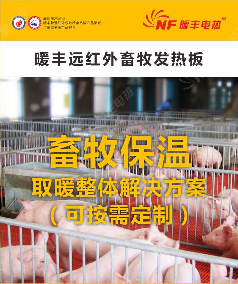 æä¸°è¿çº¢å¤çç§åç­æ¿
