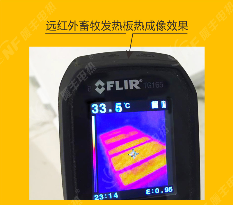 è¿çº¢å¤çç§åç­æ¿ç­æåææ
