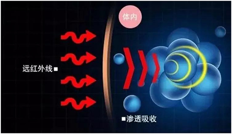 远红外线与人体水分共振示意图