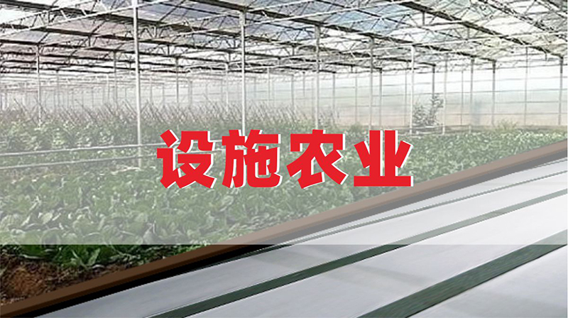 设施农业.jpg