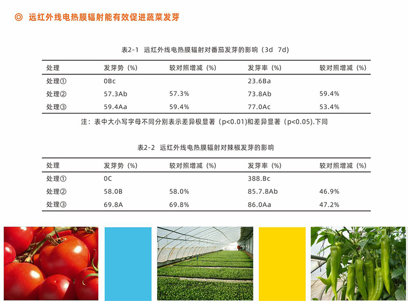 设施农业-1.jpg