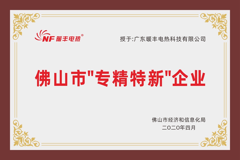 2020 佛山市 专精特新 企业(牌匾) (1).jpg