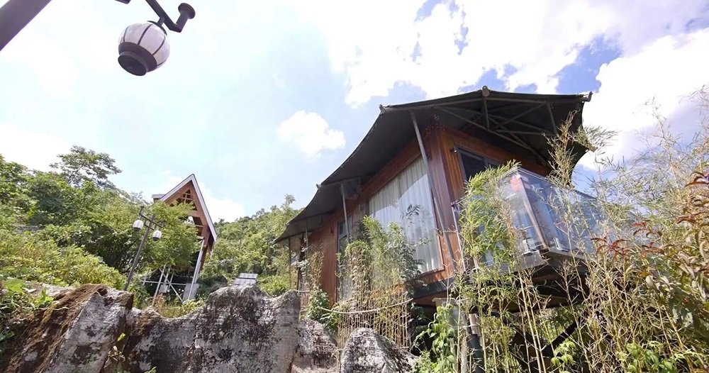 1766020340678496.jpg 2.jpg