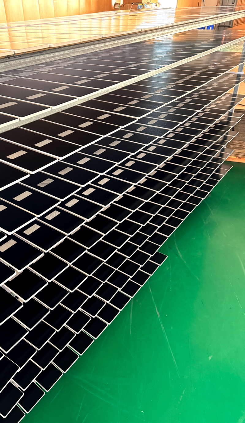 1768963183877336.png 3.png